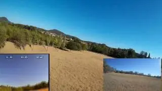 Floureon Racer 250 new demo flight (Courtesy Gearbest)