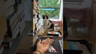 unique cat bookstore 🐈📚 subscribe for more parts!
