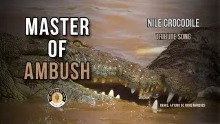Nile Crocodile | Tribute Song | Master of Ambush