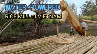 02/02, Building with wood water and patience #@dongvanvlog#waterpoweredricepounder