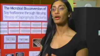 Soy Isoflavone (Isoflavone)