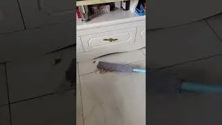 Retractable Dust Cleaner