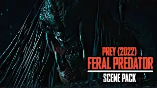 Feral Predator Scene Pack | Prey (2022) Part 3