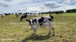 Solutions Driven Data Management using plug and play Internet of Things (IoT) sensor technology
