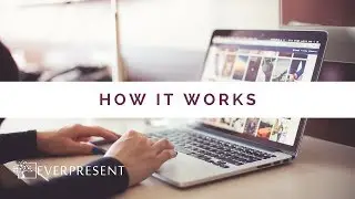 Digital Photo Organizing with EverPresent