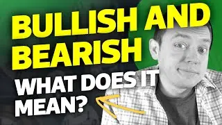 Bullish and Bearish  Terms - What Does it Mean in the Stock Market?