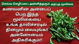 இந்த ஒரு தெய்வீக மூலிகையை இப்படி பயன்படுத்தி பாருங்க!!வாழ்க்கையில் பல உயரங்களை தொட முடியும்!!