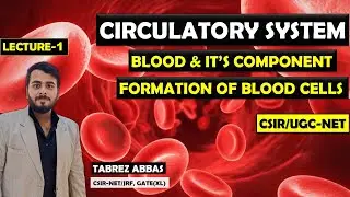 BLOOD & ITS COMPONENT AND FORMATION OF BLOOD CELL || CIRCULATORY SYSTEM LECTURE-1 || CSIR-NET, M.Sc.