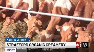 Made in Vermont: Strafford Organic Creamery Eggnog