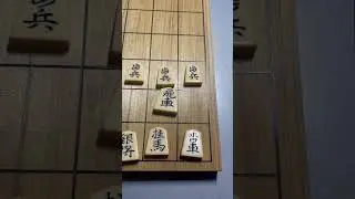 Shogi Levov 's Decision #shogi #сёги #сеги #shogidan