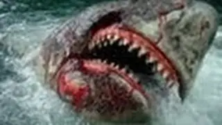 Attaque de Requin Fant&ocirc;me