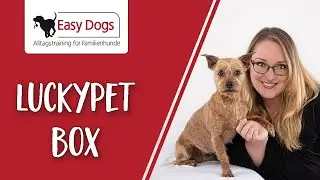 Easy Dogs packt die Luckypetbox aus - Unboxing #1