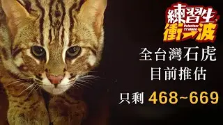 在石虎滅絕之前｜《練習生，衝一波！》S2 EP13