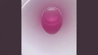 lil kermit