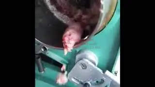 Fish Bone Separator Machine
