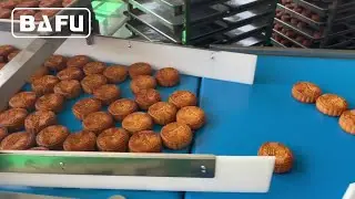 bread packaging machine,cake packaging machine,biscuit packaging machine,flow wrapper,flow-pack