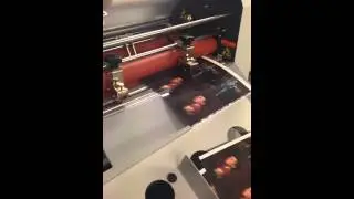 MX-530 laminator
