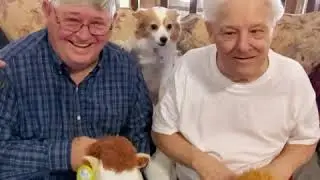 Two little Boys and their stick horse toys!