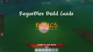 RogueBlox Build Guide - The Basics!