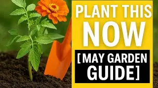 &ldquo;Plant This NOW: May Gardening Guide for Zones 7&ndash;9!&rdquo;