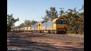 G541 and G529 Elephant Style on 9144 Charlton Grain at Kurting- 17/1/25