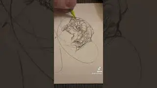DRAWING A DRAGON FROM A SCRIBBLE