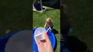 Reusable Silicone Water Balloons
