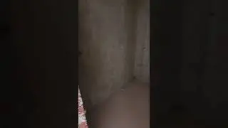 1 комнатная жк Центр, 10 этаж, кухня 18 кв.м. комната 20 кв.м.