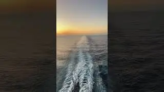 Golden hour bliss with nothing on the horizon but  sunset hues and the open sea. #cruisinchronicles