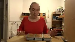 Mini cakes au citron - partie 2 (Sortie du four)