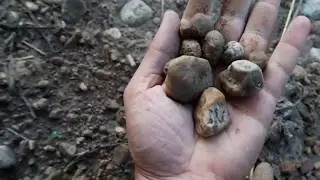 البحث عن احجار كريمه طبيعيه