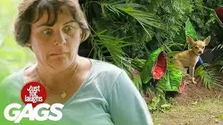 Carnivorous Plant Eats Puppy Prank