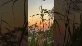 nakkati hill view point of bongaigaon Assam 🌎❤️_
