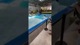 Surfeando 🏄&zwj;♂️ a pie de calle&hellip;