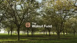 The Walnut Fund | Corporate Promo Video by Bear Fruit Productions
