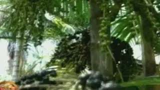 Huasa&iacute;: el super alimento