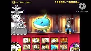 Non-Serious Battle Cats  - MASTER OF THE PACIFIC VS FINAL BOSS [NOT CLICKBAIT][GONE WILD]