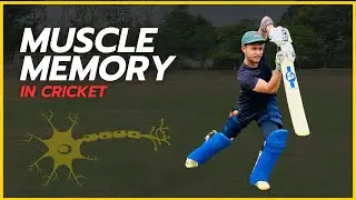 Make Your Cricket Practice EFFECTIVE | Muscle Memory | Batting Practice