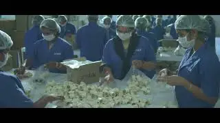 STAR PIPES CORPORATE VIDEO