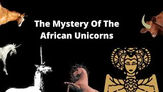 The Mystery Of The African Unicorns