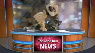 Talking Tom and Ben News Fight