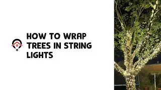 How to Wrap Trees in String Lights