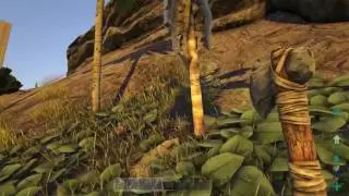Ein Tropentrauma - ARK SURVIVAL EVOLVED [PS4 Pro] [German/Deutsch] #17