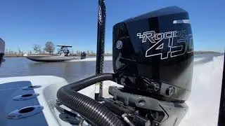 BlackJack 256 Coastal equipped with Mercury 450R
