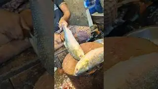 Amazing Hilsa Fish Cutting Skills In Bangladesh Local Fish Market By Expert Cutter #shorts