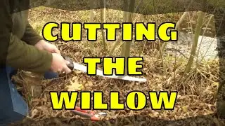 Cutting the Willow Bed