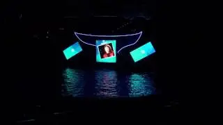 SeaWorld Orlando Christmas Miracles at Shamu Stadium