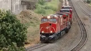 APUCARANA E O TREM DO NORTE DO PARAN&Aacute; By FARINA