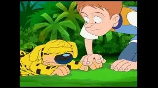 Marsupilami Derneği Marsupilami