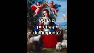 Maria ci protegge dall'impurit&agrave;